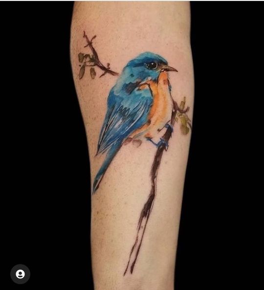 Feathered Ink: The Rise of Bird Tattoos Among Men 2023