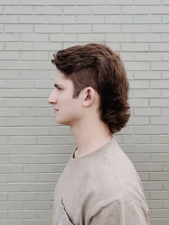 Wolf mullet haircut ideas 18 ideas: Unleashing a wild style