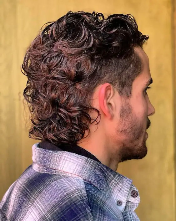 Wolf mullet haircut ideas 18 ideas: Unleashing a wild style