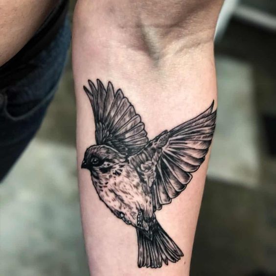 Feathered Ink: The Rise of Bird Tattoos Among Men 2023