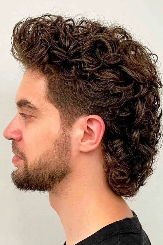 Wolf mullet haircut ideas 18 ideas: Unleashing a wild style