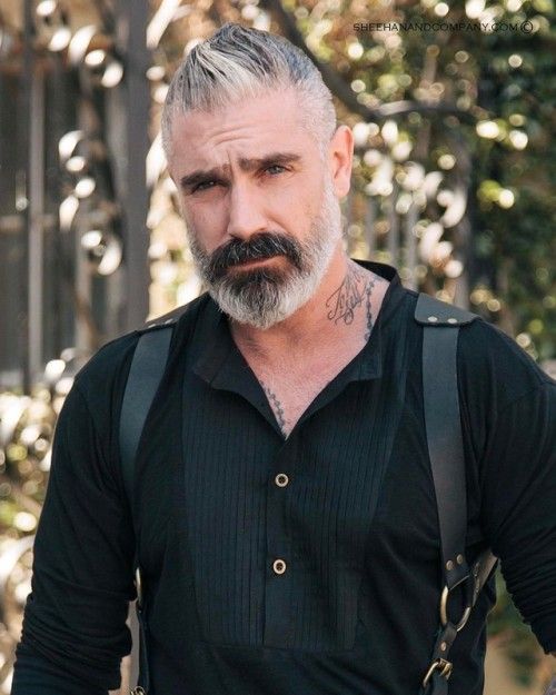 Beard Men Silver Foxes 18 Ideas: An Exhaustive Guide