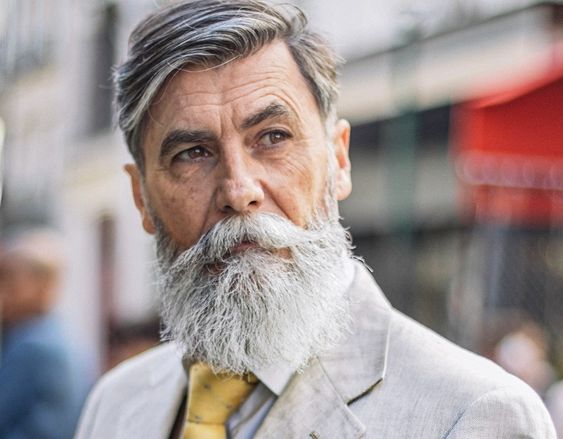 White Beard 18 ideas: Unleash the allure of a silver mustache