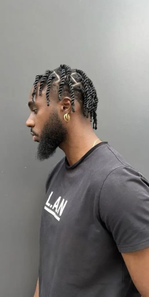 Black men's hairstyles Twist 2024 18 ideas: Uncovering the latest trend