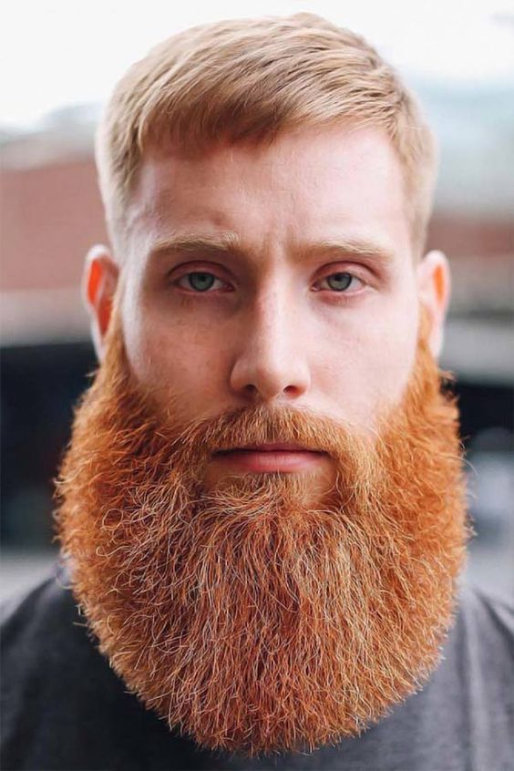 Red-bearded men: Rugged style and aesthetic appeal 16 ideas