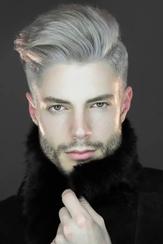 Silver Shades: Styles and haircuts for gray hair for men 15 ideas