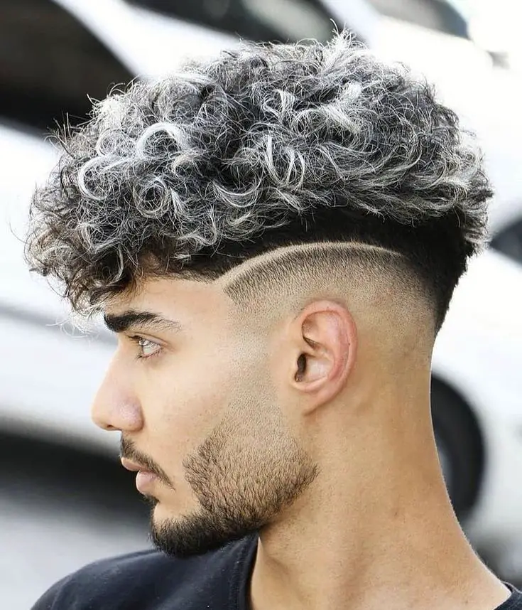 Stylish haircuts for curly gray hair for the modern man 15 ideas