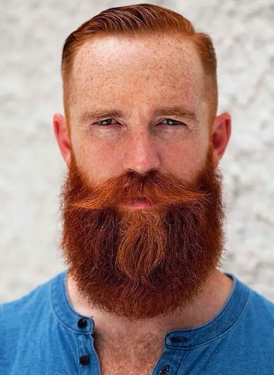 Red-bearded men: Rugged style and aesthetic appeal 16 ideas