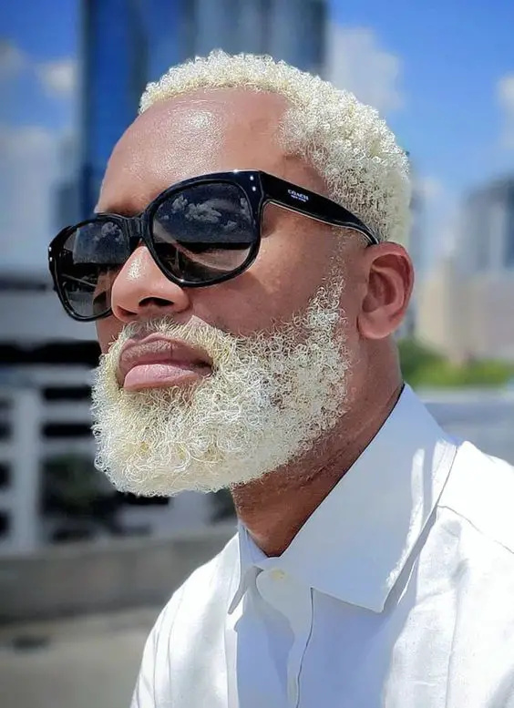 Transform your look: 20 awesome ideas for men with white beards