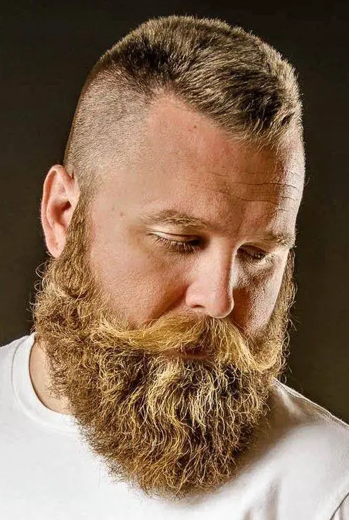 21 stylish men's long beard haircut ideas: Haircuts for long beards: top cuts, tapers and more