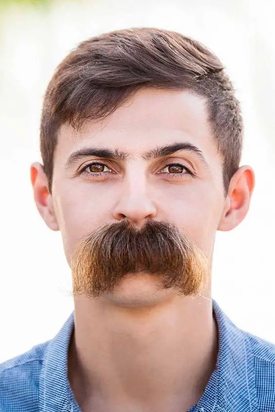 Top 21 Mustache Ideas for Men: Bold Looks for Men with Big Mustaches