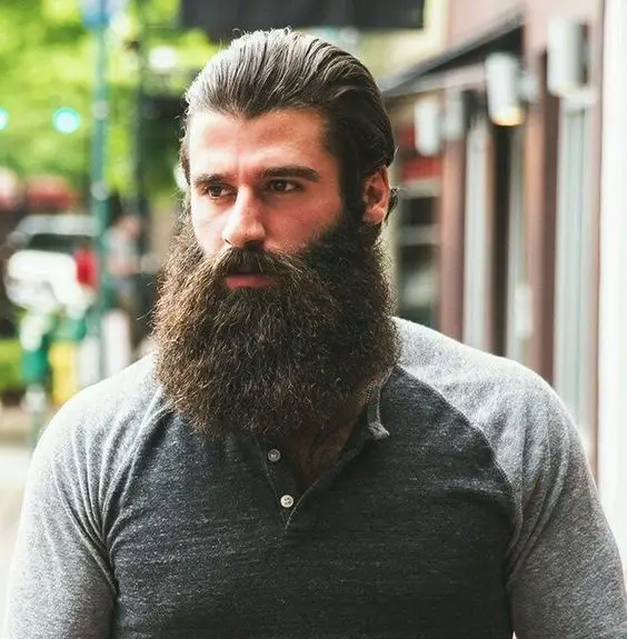 Long Beards 16 Ideas: A Comprehensive Guide for the Modern Gentleman ...