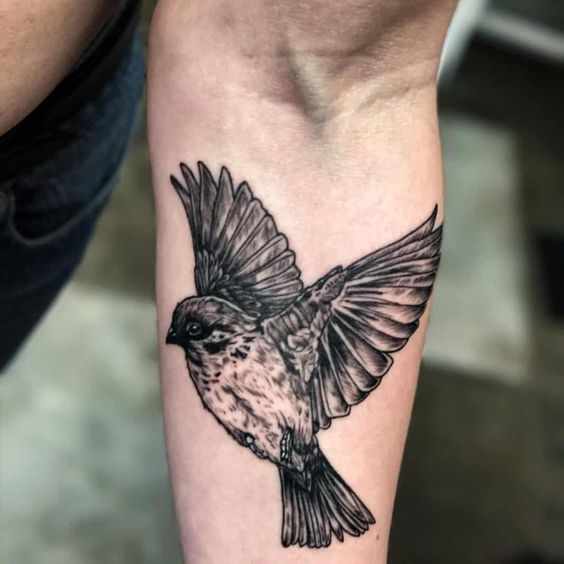 Feathered Ink: The Rise of Bird Tattoos Among Men 2023 - mens-club.online