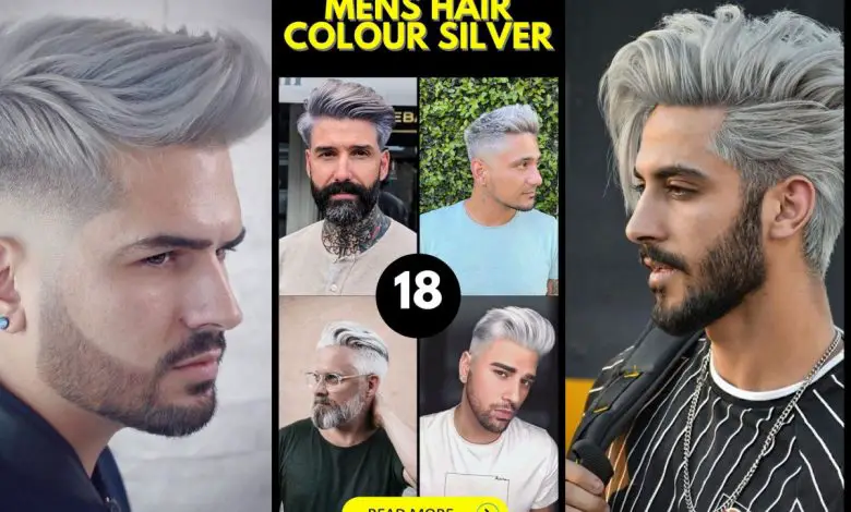 Achieve stunning silver hair color 18 ideas for men - mens-club.online